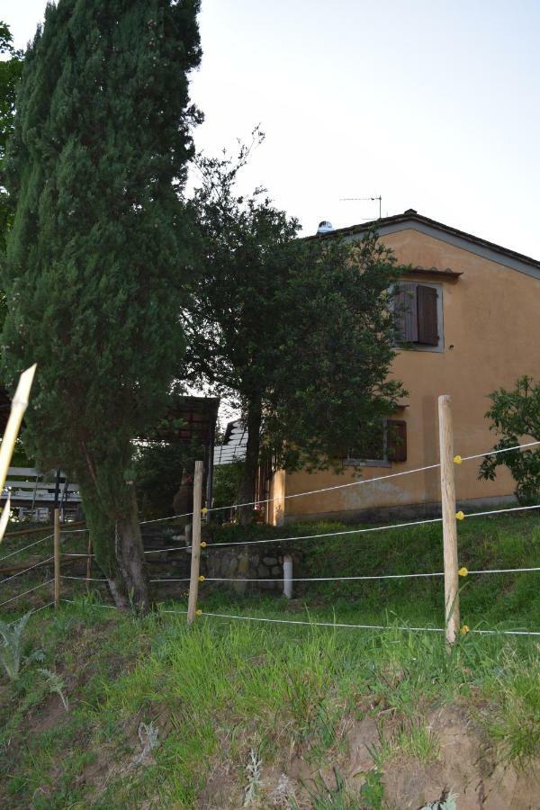 La Casa Sui Colli Villa Uzzano Екстериор снимка