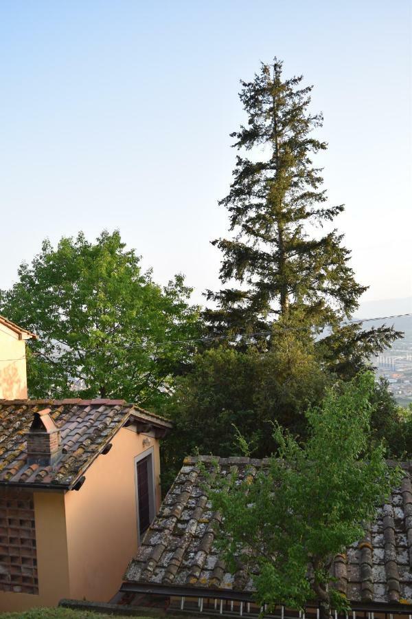 La Casa Sui Colli Villa Uzzano Екстериор снимка